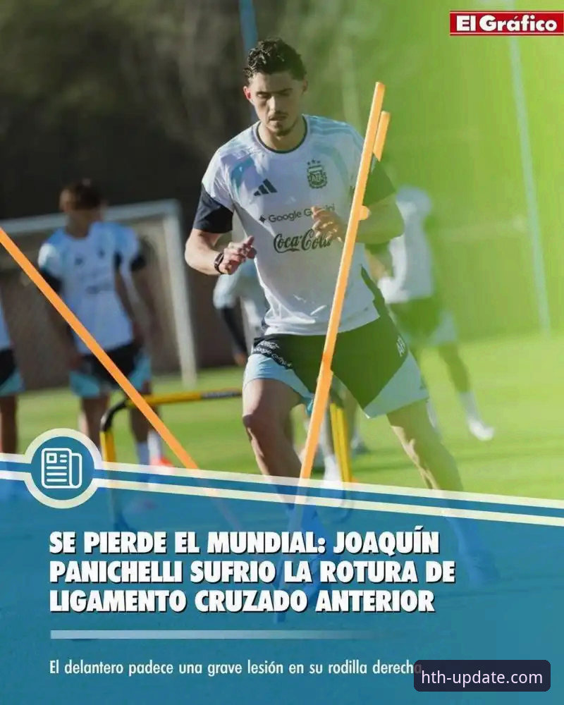 深度解析阿根廷锋线危机：从帕尼切利重伤看体育平台比较分析的价值